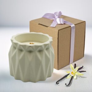 Świeca sojowa Vanilla Flame w betonowym pojemniku w odcieniach zieleni.